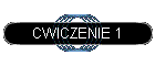 CWICZENIE 1